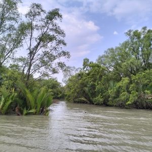 Research Trip inside Sundarbans