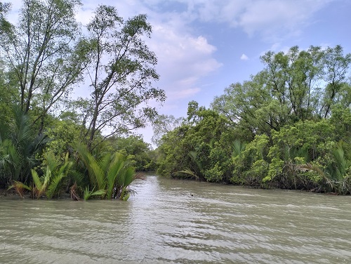 Research Trip inside Sundarbans